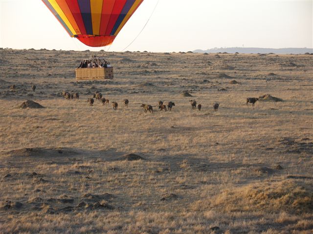 Kenya 2006 284.jpg