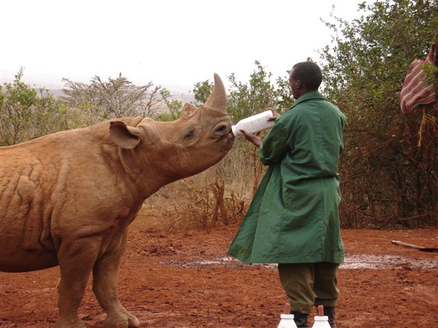 Kenya 2006 553.jpg